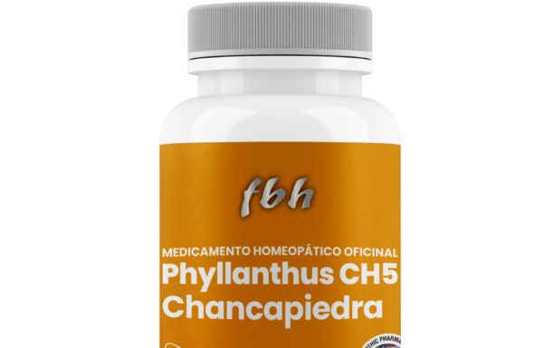 Phyllanthus Chancapiedra